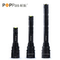 3X 18650 Rechargeable 800lumens CREE Xm-L T6 Torch (F10)